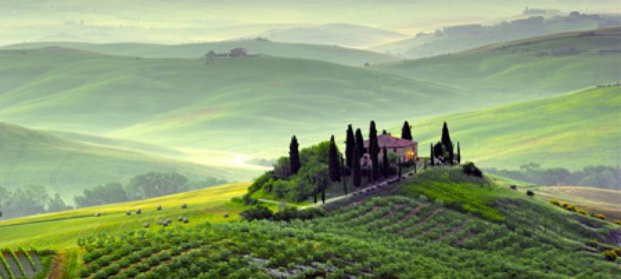 Toscana al terzo posto nella classifica dell’export di vino