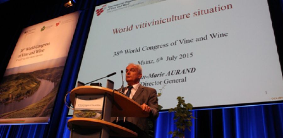 OIV: cresce il vigneto Cina che diventa il più esteso del mondo