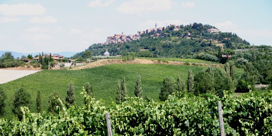 Mipaaf: approvata al Senato la legge sull'agricoltura sociale