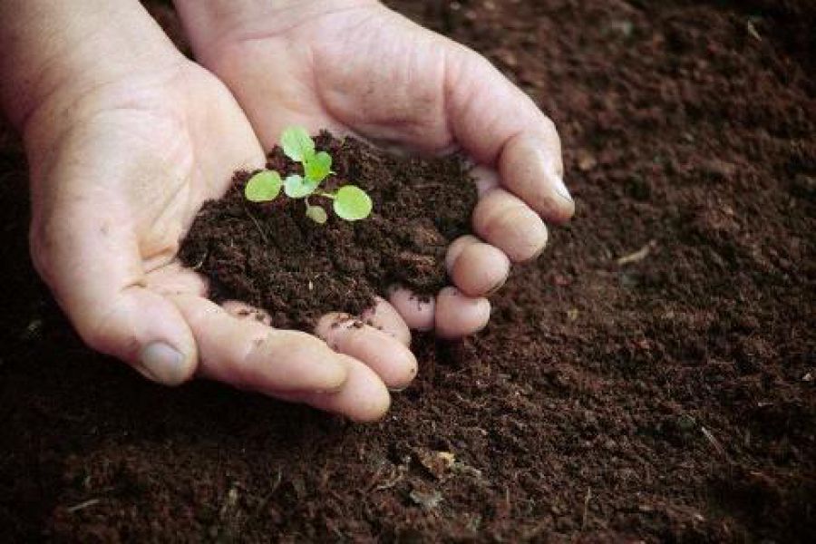 Ricerca fertile contro la fame di suolo