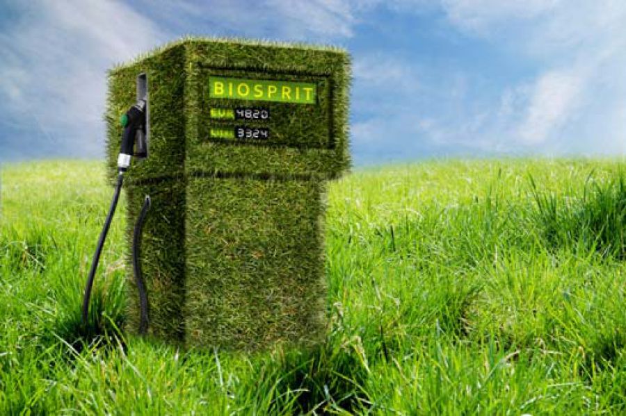 Bioenergie: una potenzialità enorme per le fonti alternative