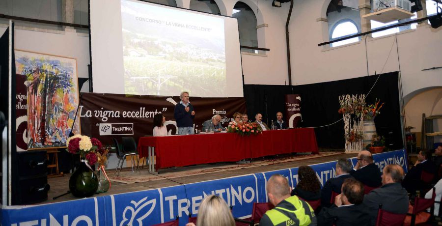 Isera, premia la Vigna Eccellente
