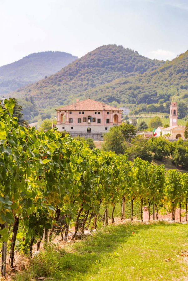 Il Moscato Fior d’Arancio protagonista di Maeli Chef Cup