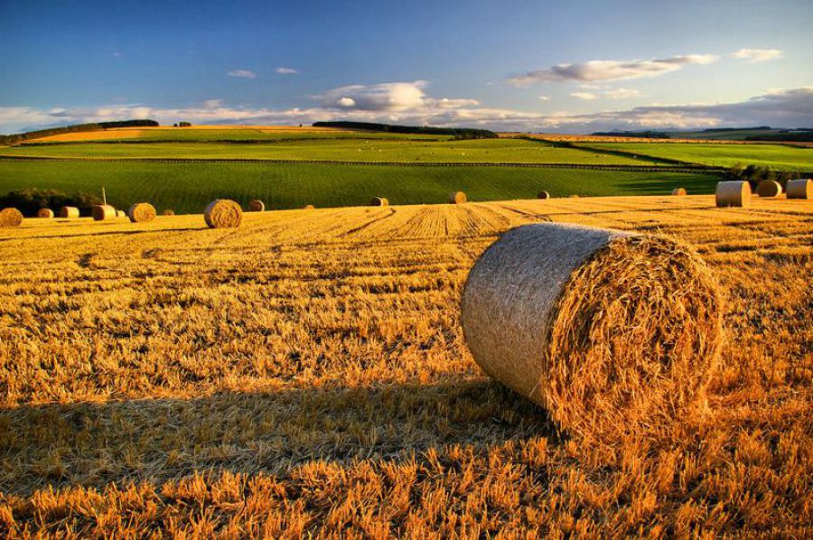 IMU agricola, dibattito tra i Sindaci:
