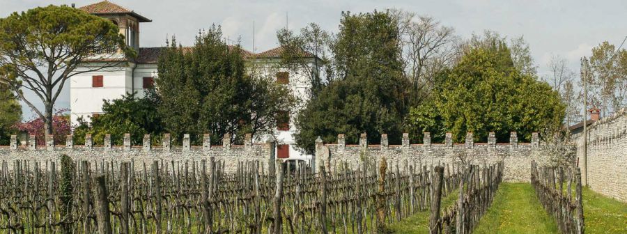 Le Radici del Vino: San Giorgio della Richinvelda entra nell'Associazione nazionale