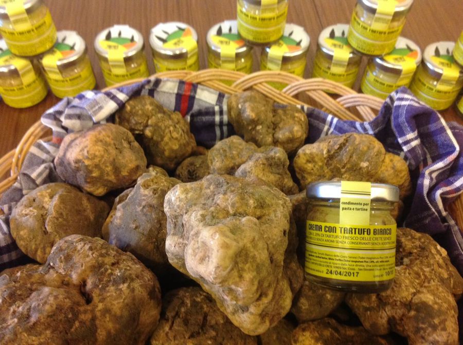 Tartufo Bianco, il re delle Crete Senesi in mostra