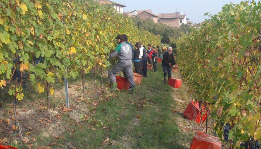 Istituti Agrari: i vini migliori in rassegna al Vinitaly