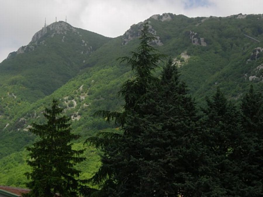Avellino baciata da Bacco