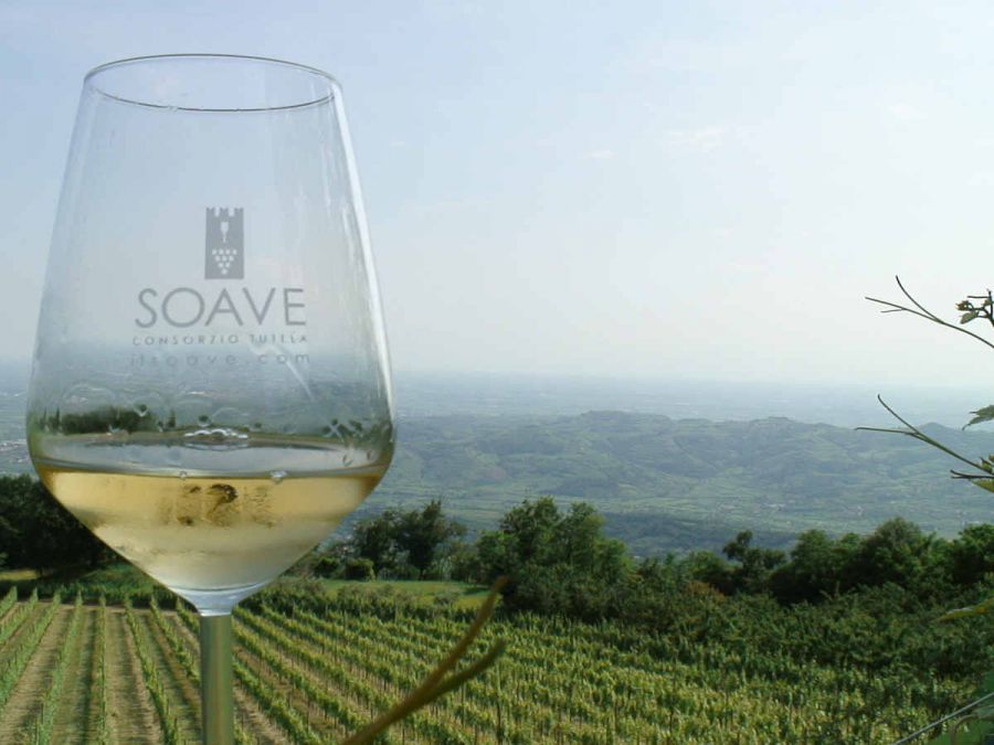 Il Soave trionfa al Merano Wine Festival