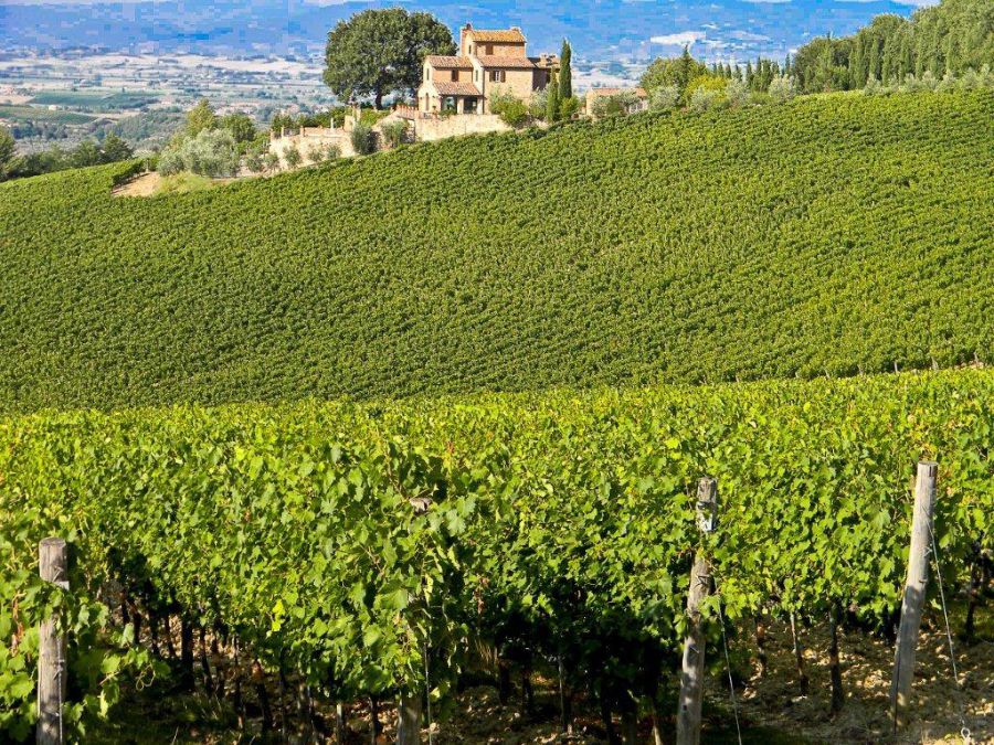 Al via il Master su vini italiani e mercati mondiali