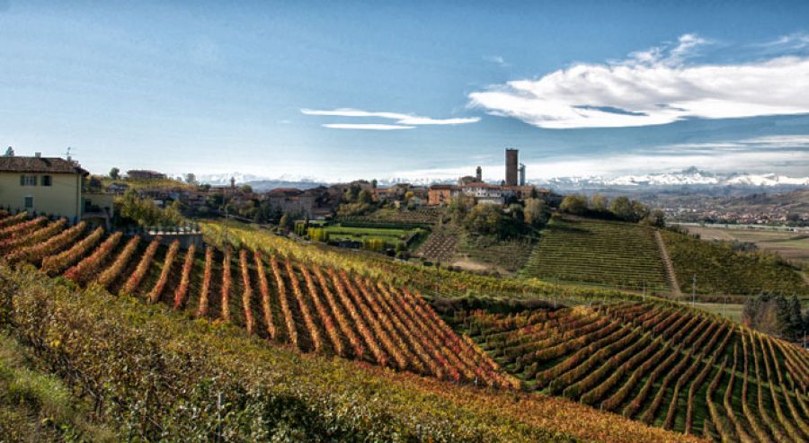Nasce l'Osservatorio del vino italiano