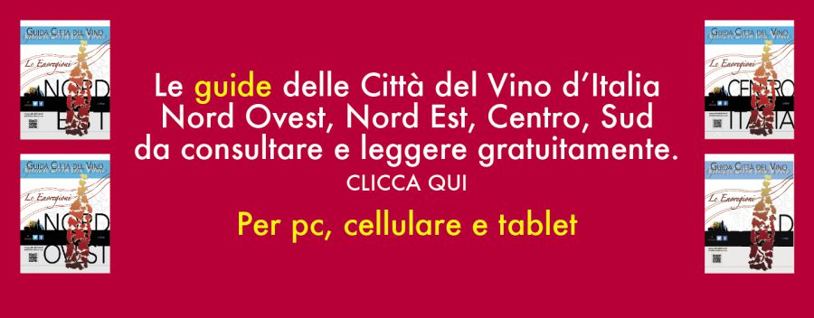 On line le Guide alle Città del Vino d'Italia