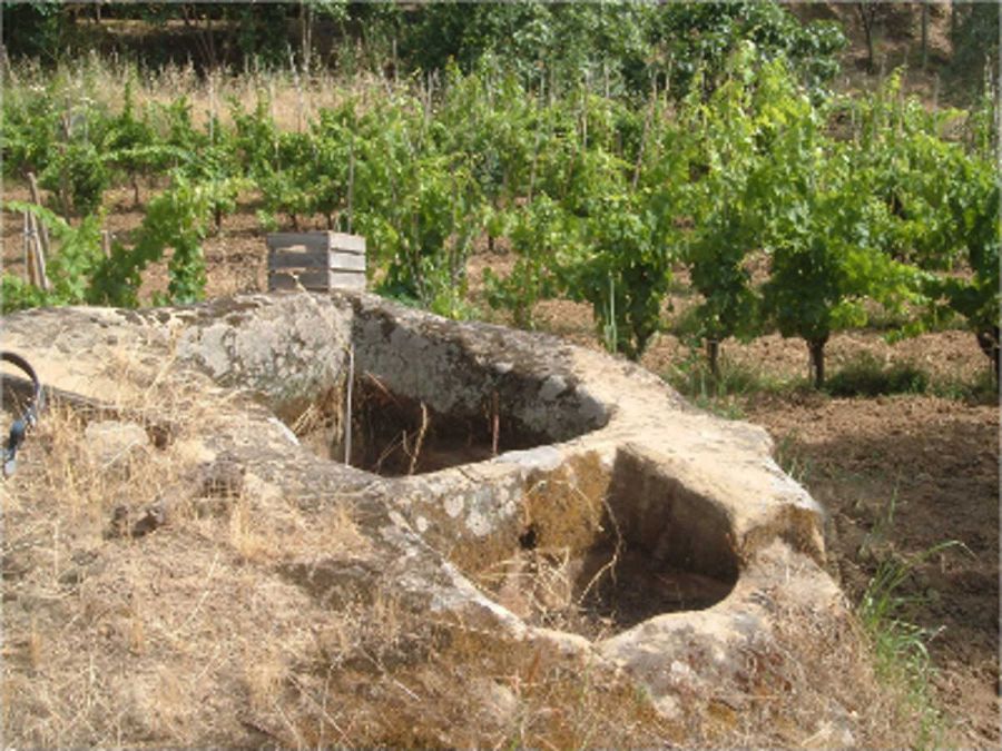 I palmenti della Locride in Calabria
