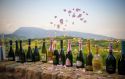 Cinquanta cantine a Prosa “Prosecco & Rosa”