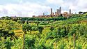 Consorzio del Vino Vernaccia di San Gimignano, ritorno alle origini