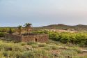 Pantelleria DOC Festival