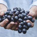 Tutela e valorizzazione del vitivinicolo biologico