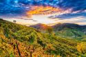 Quando la vite riposa e la cantina è silente, il vigneto è dinamico