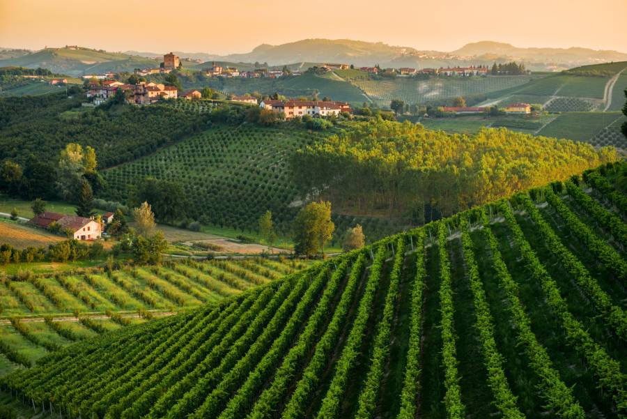 “International Wine Routes Conference” sul futuro delle Strade del Vino nel panorama dell’enoturismo internazionale