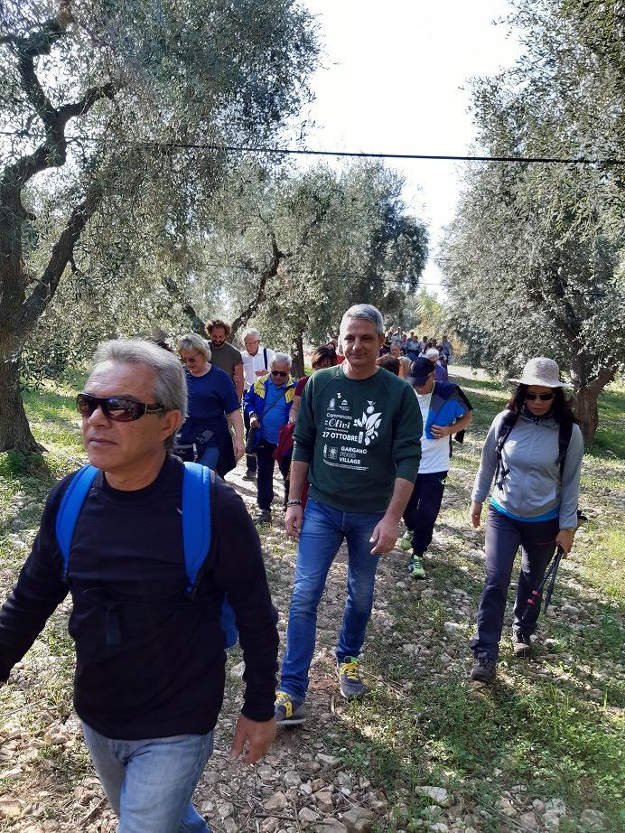 Domenica 30 ottobre in 17 Regioni la Giornata nazionale della Camminata tra gli olivi 2022
