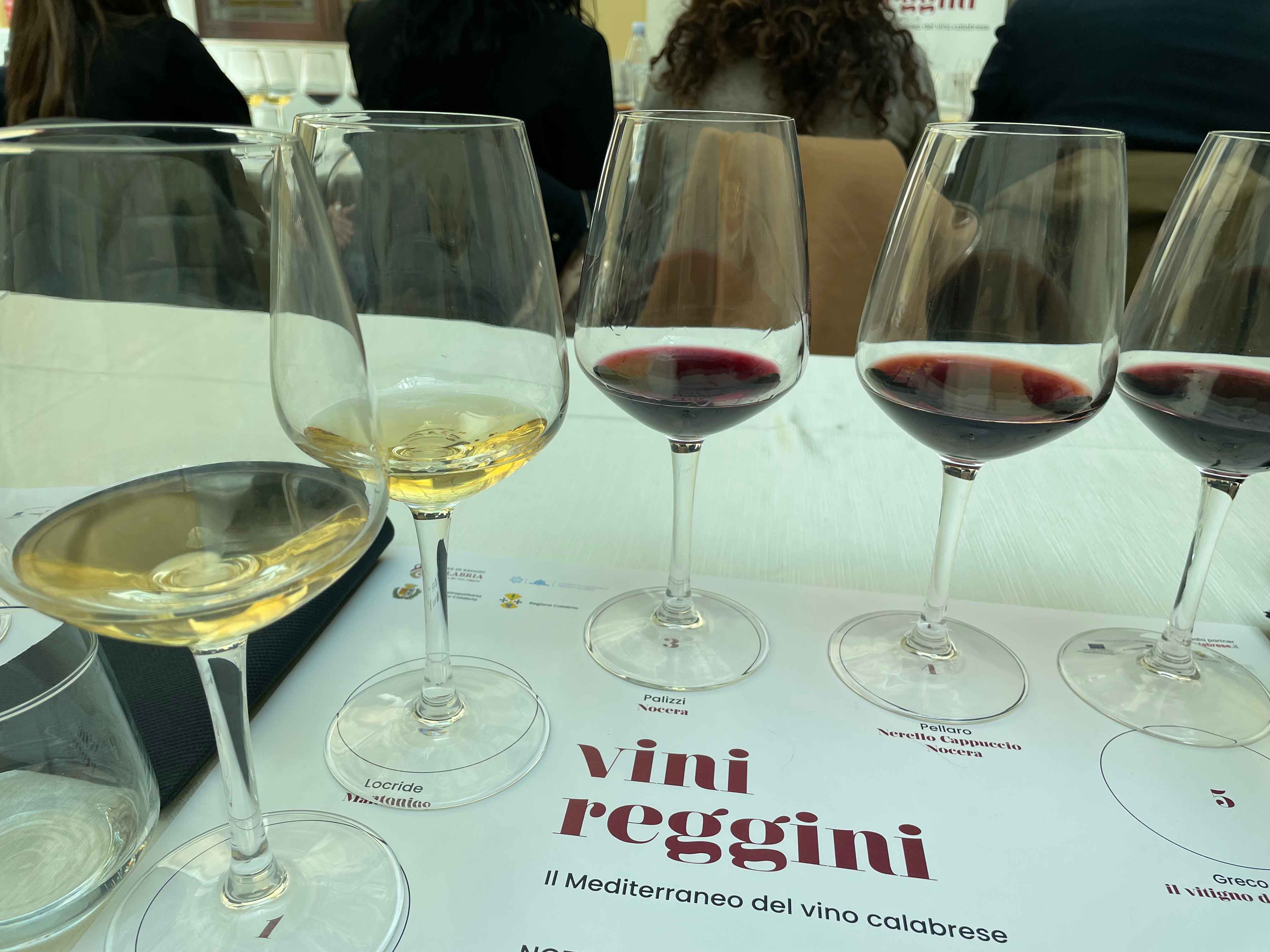 Novità: focus sui vini del Consorzio Terre di Reggio Calabria