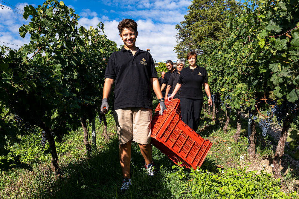 Bocale: viticoltori di Montefalco