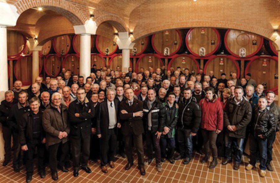 Cantina Valpolicella Negrar è la migliore cooperativa vitivinicola d'Italia