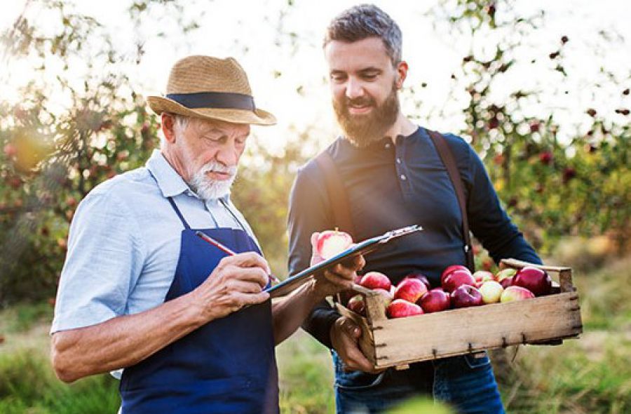 Il valore dell’agricoltura per economia italiana