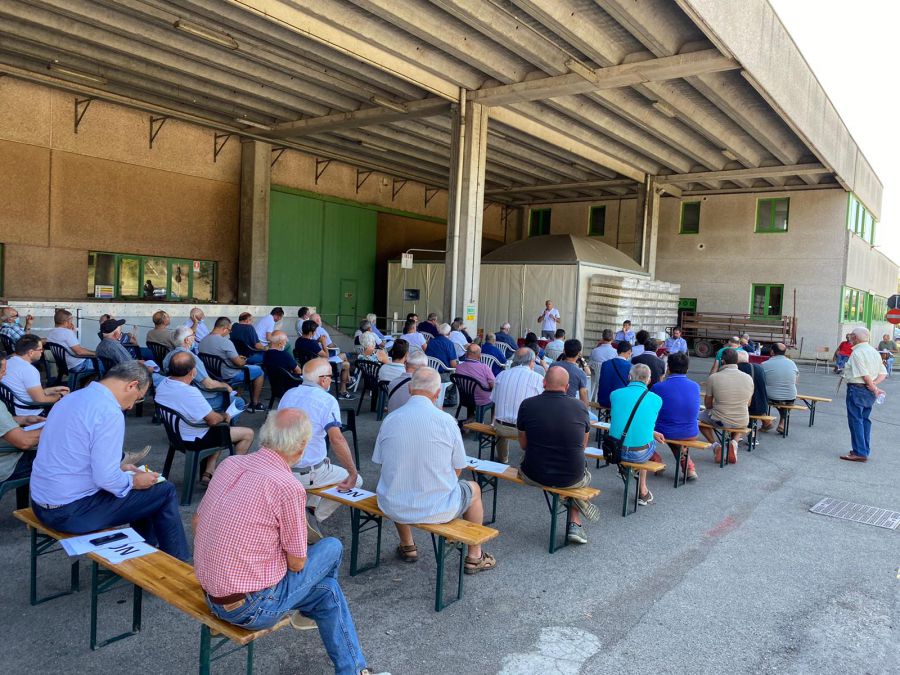 Nasce VIVITO la principale realtà cooperativa del vino