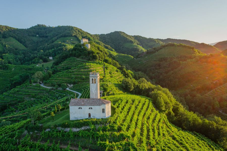 Riconoscimento automatico vigneti Prosecco