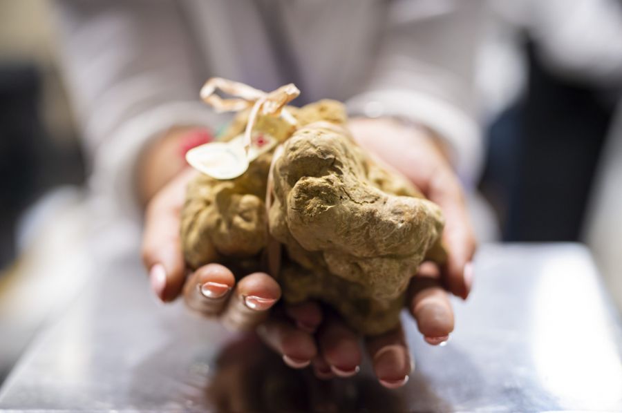 90ª Fiera Tartufo Bianco d'Alba