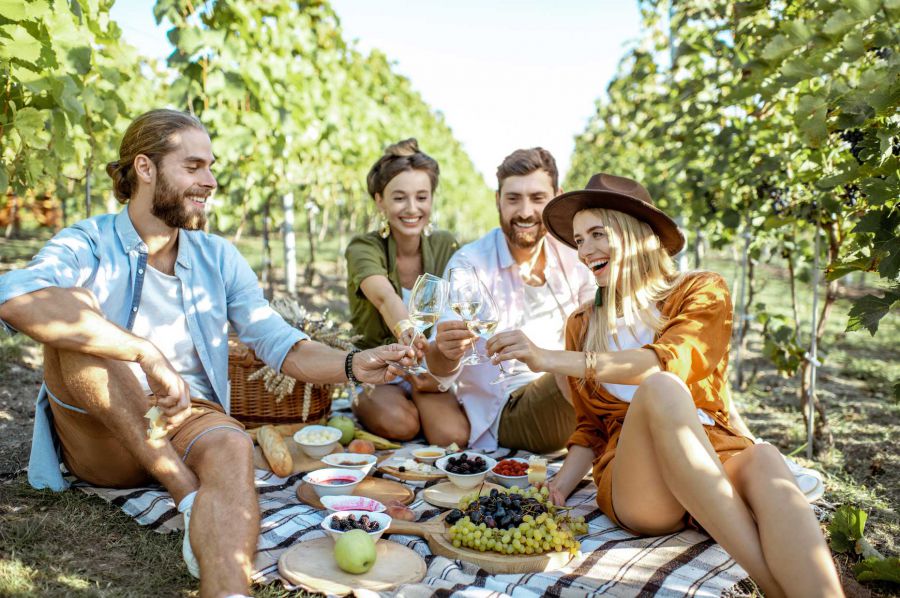 A settembre e ottobre torna Cantine Aperte in Vendemmia