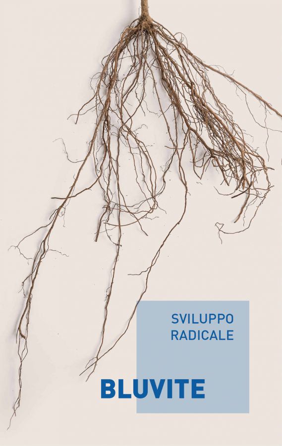 ReVive il suolo dopo la vendemmia