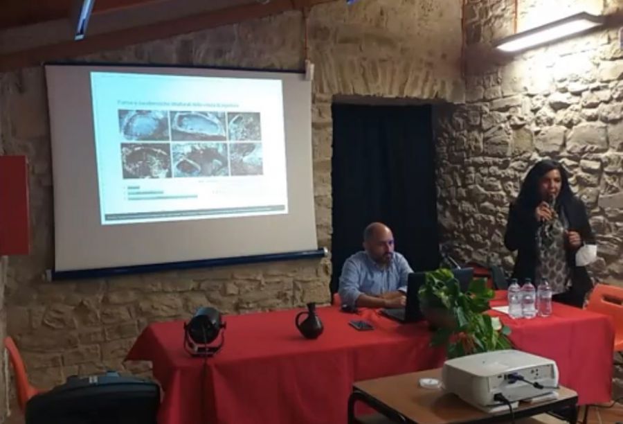 Laboratorio del vino nel villaggio nuragico di Genna Maria-Villanovaforru