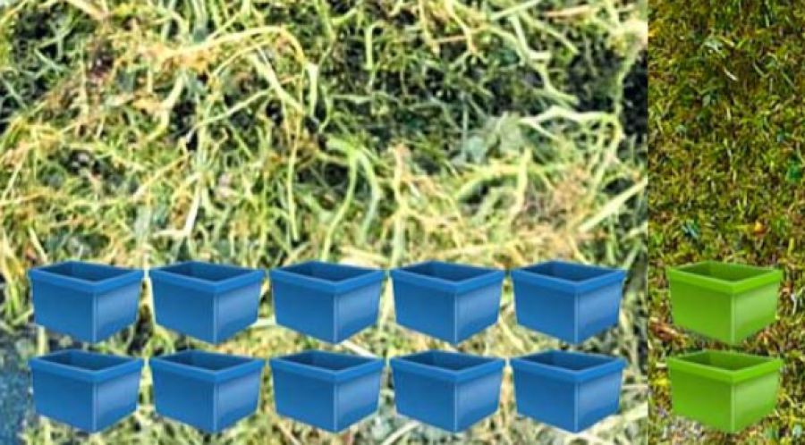 Risparmia e proteggi l'ambiente