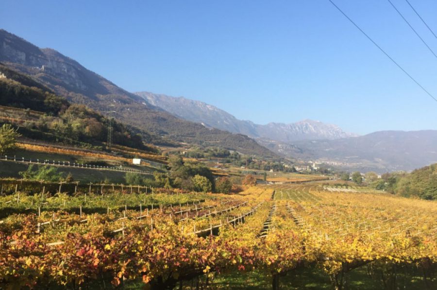 DIVIN OTTOBRE, 5 APPUNTAMENTI PER IL SECONDO WEEKEND