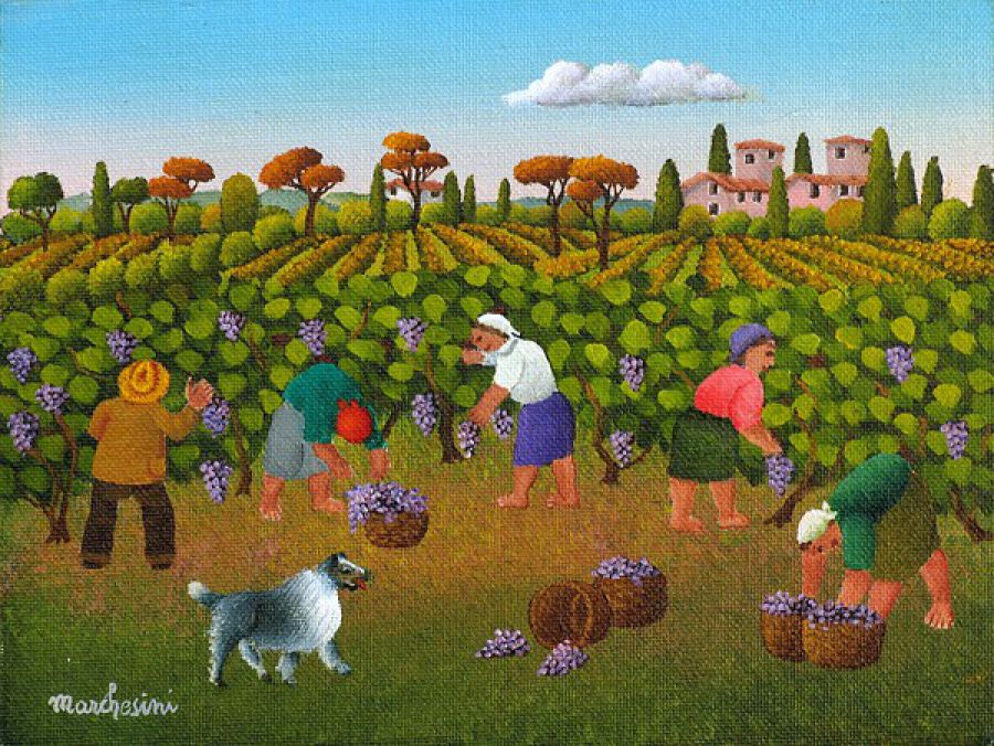Arriva la regolamentazione della vendemmia turistica e didattica