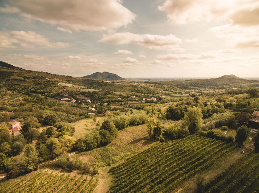 I vini di Vo' vincono il Travel Food Award 2020