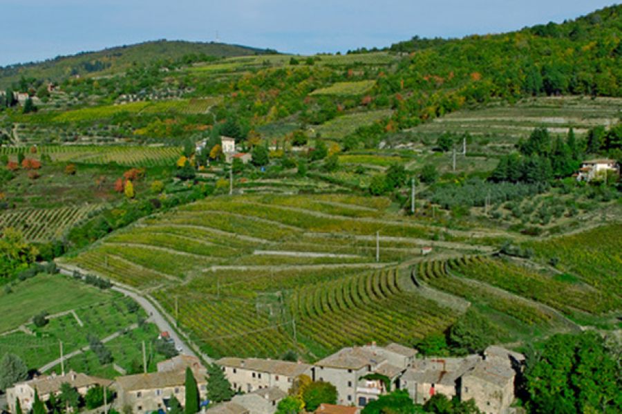 Valorizzare i comprensori vitivinicoli di qualità tra buone pratiche e nuove prospettive