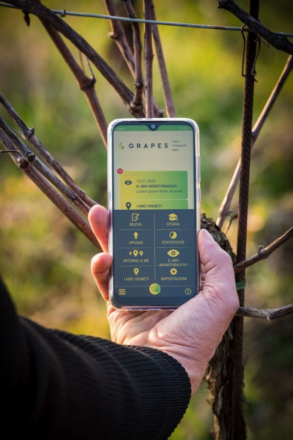 Premiati i primi vigneti con Indice Bigot sopra i 90