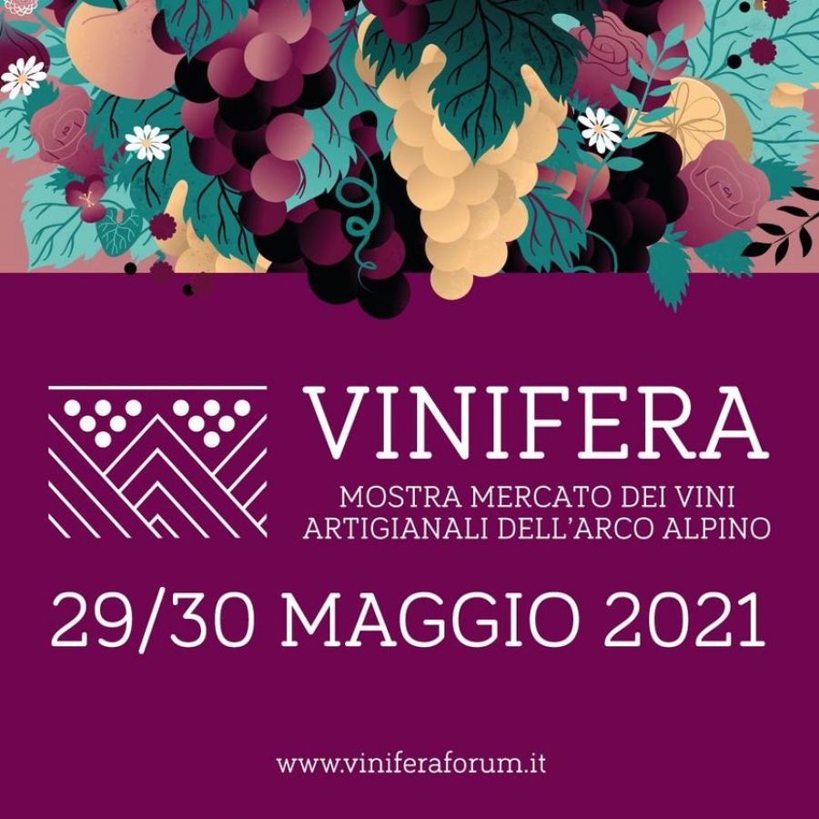 Vinifera 2021 open air