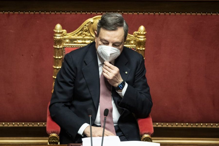 Draghi in Senato: bene ambiente e biodiversità