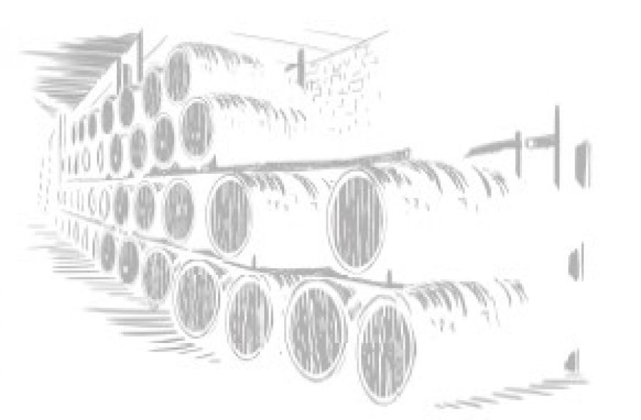 Nel cuore dei vigneti d’Israele