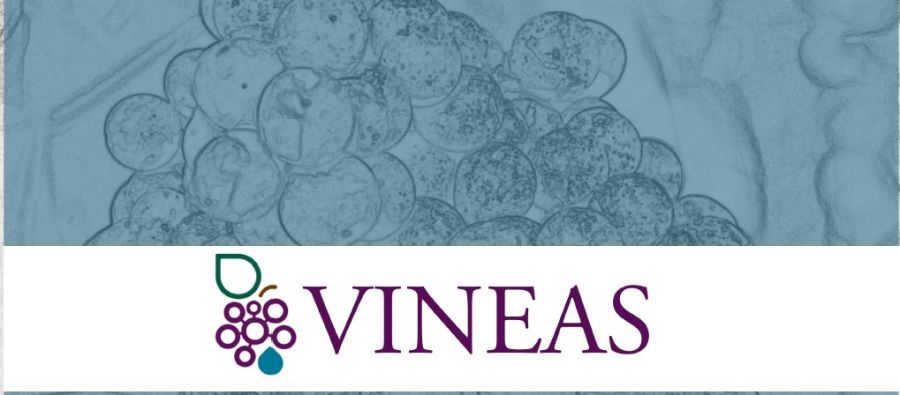 VINEAS si presenta al pubblico italiano
