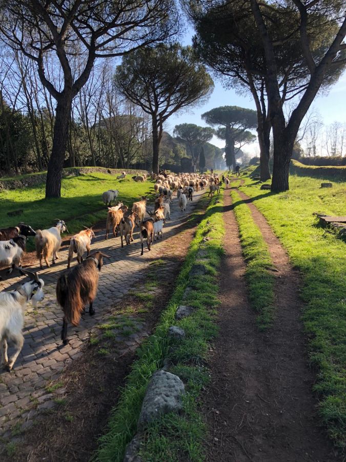 Nasce la Rete dei Comuni del Formaggio