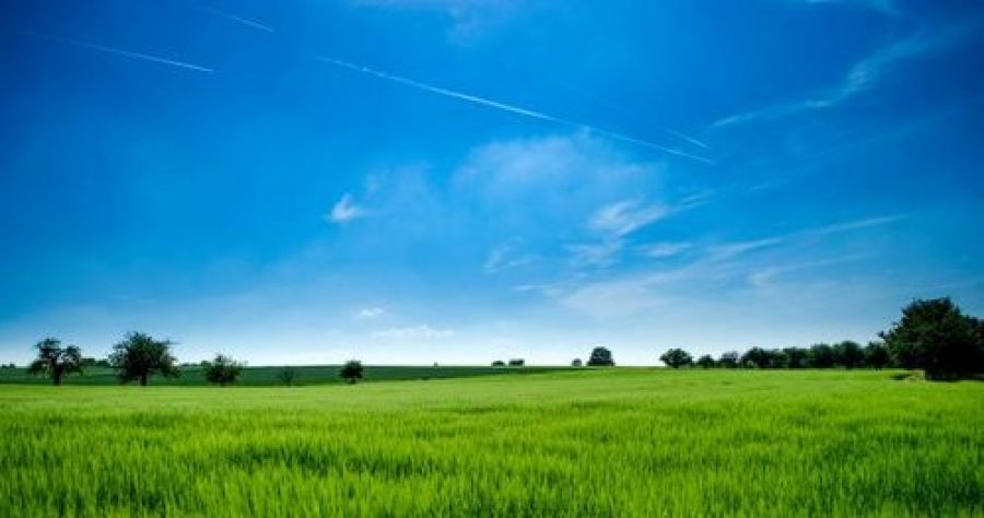 Tavolo Nazionale di Partenariato perla futura PAC