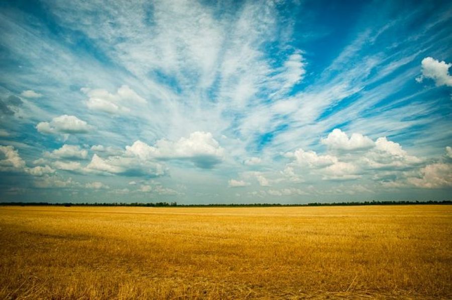Prima Riunione Esperti Agricoli