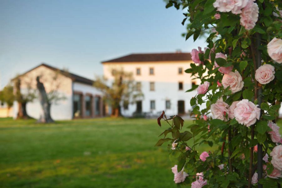 Da quattro secoli passione per la viticoltura