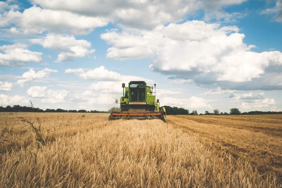 Agevolazioni per giovani agricoltori