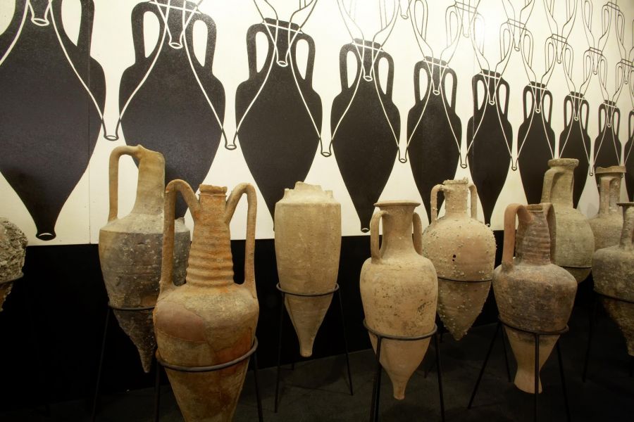 Riaprono Museo del Vino e Museo dell’Olio